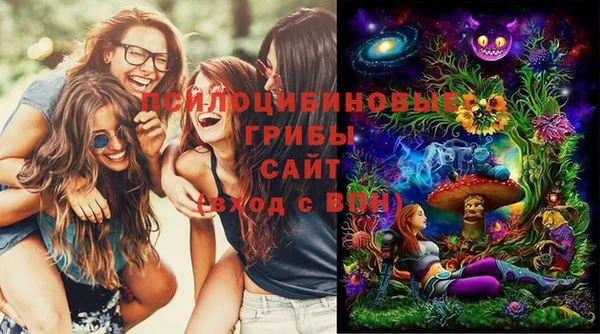 бошки Осташков