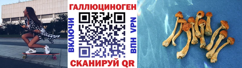 Галлюциногенные грибы ЛСД  кракен ССЫЛКА  Новосибирск 