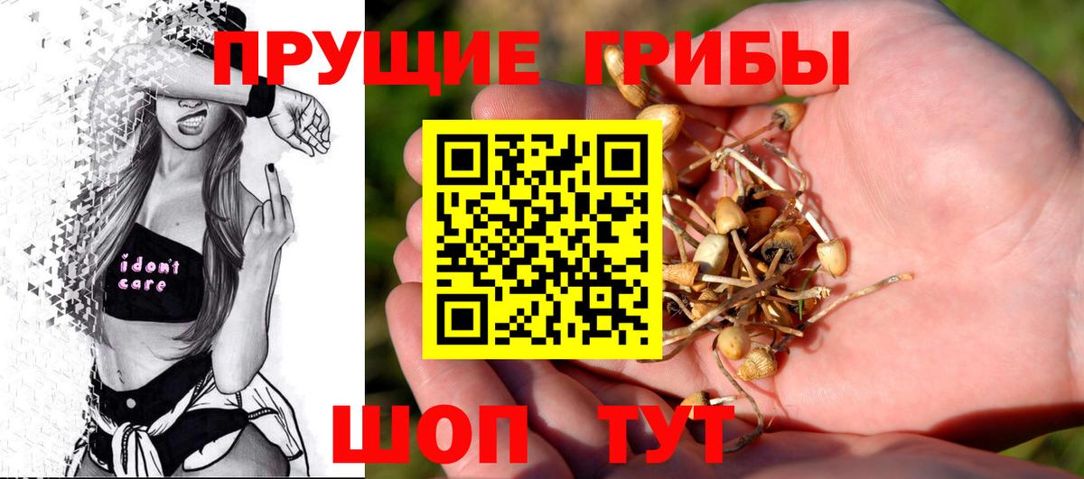 Новосибирск  Галлюциногенные грибы Magic Shrooms  Вход с VPN 