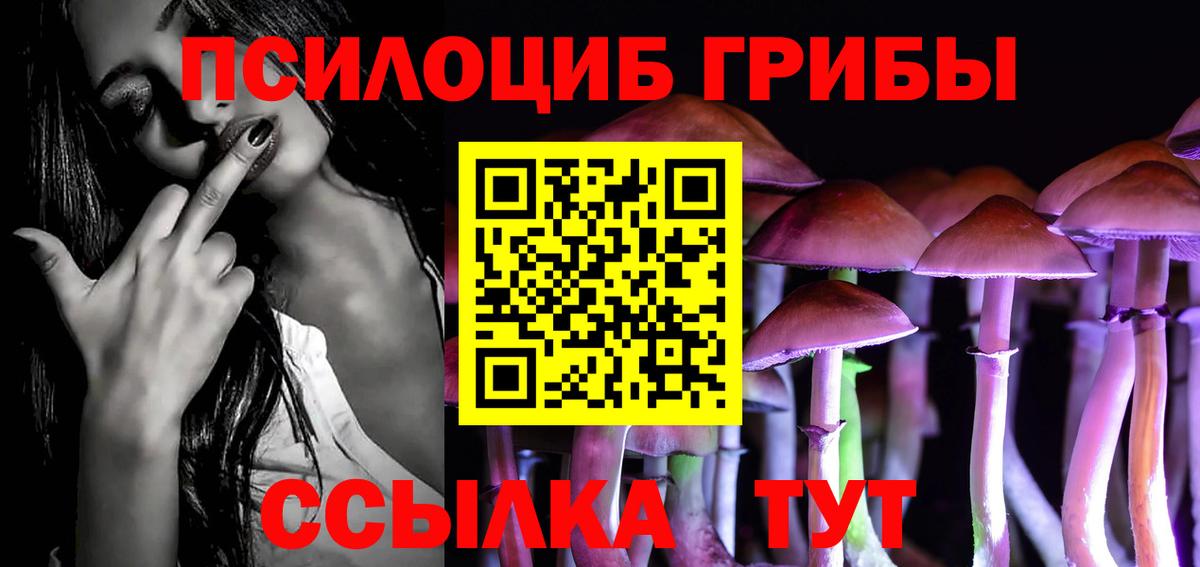 где можно купить   Новосибирск  Галлюциногенные грибы GOLDEN TEACHER 